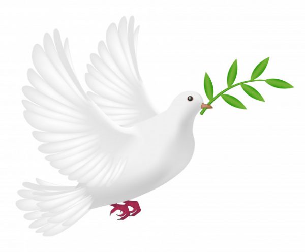 pombo-branco-voando-com-paz-de-conceito-de-folha_37787-688